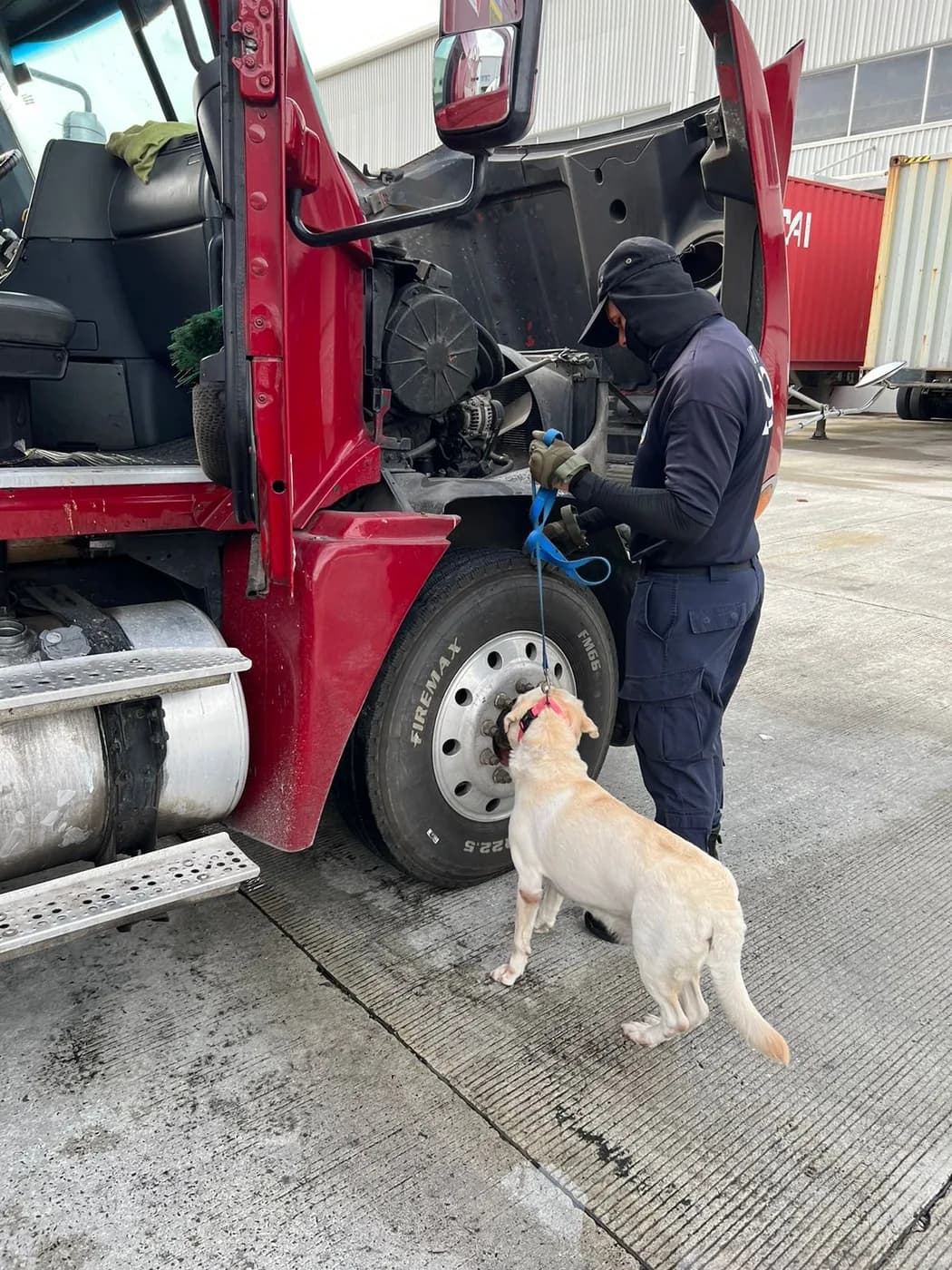 Inspección K9 de camión de carga