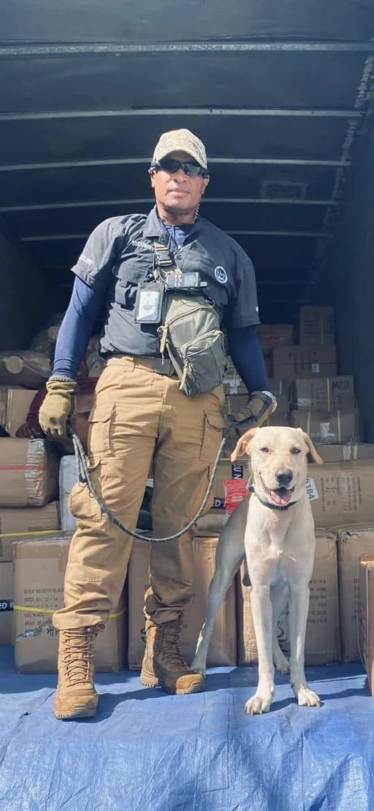Custodia de mercancía y transportes